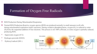 Formation of Oxygen Free Radicals
 ROS Production During Mitochondrial Respiration
 Normal ROS Production-Reactive oxygen species (ROS) are produced normally in small amounts in all cells
during mitochondrial respiration (redox reactions). During oxidative phosphorylation, oxygen (O ) is reduced to water
₂
(H O) by the sequential addition of four electrons. This process is not 100% efficient, so some oxygen is partially reduced,
₂
producing ROS.
 Superoxide oxygen (O’2)
 Hydrogen peroxide (H2O2)
 Hydroxyl radical (OH–)
 