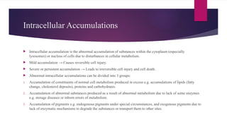 Intracellular Accumulations
 Intracellular accumulation is the abnormal accumulation of substances within the cytoplasm (especially
lysosomes) or nucleus of cells due to disturbances in cellular metabolism.
 Mild accumulation → Causes reversible cell injury.
 Severe or persistent accumulation → Leads to irreversible cell injury and cell death.
 Abnormal intracellular accumulations can be divided into 3 groups:
1. Accumulation of constituents of normal cell metabolism produced in excess e.g. accumulations of lipids (fatty
change, cholesterol deposits), proteins and carbohydrates.
2. Accumulation of abnormal substances produced as a result of abnormal metabolism due to lack of some enzymes
e.g. storage diseases or inborn errors of metabolism.
3. Accumulation of pigments e.g. endogenous pigments under special circumstances, and exogenous pigments due to
lack of enzymatic mechanisms to degrade the substances or transport them to other sites.
 