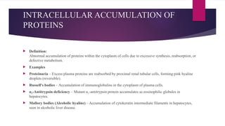 INTRACELLULAR ACCUMULATION OF
PROTEINS
 Definition:
Abnormal accumulation of proteins within the cytoplasm of cells due to excessive synthesis, reabsorption, or
defective metabolism.
 Examples
 Proteinuria – Excess plasma proteins are reabsorbed by proximal renal tubular cells, forming pink hyaline
droplets (reversible).
 Russell's bodies – Accumulation of immunoglobulins in the cytoplasm of plasma cells.
 α -Antitrypsin deficiency
₁ – Mutant α -antitrypsin protein accumulates as eosinophilic globules in
₁
hepatocytes.
 Mallory bodies (Alcoholic hyaline) – Accumulation of cytokeratin intermediate filaments in hepatocytes,
seen in alcoholic liver disease.
 