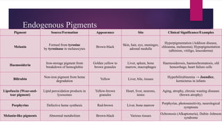 Endogenous Pigments
Pigment Source/Formation Appearance Site Clinical Significance/Examples
Melanin
Formed from tyrosine
by tyrosinase in melanocytes
Brown-black
Skin, hair, eye, meninges,
adrenal medulla
Hyperpigmentation (Addison disease,
chloasma, melanoma); Hypopigmentation
(albinism, vitiligo, leucoderma)
Haemosiderin
Iron-storage pigment from
breakdown of hemoglobin
Golden yellow to
brown granules
Liver, spleen, bone
marrow, macrophages
Haemosiderosis, haemochromatosis, old
hemorrhage, heart failure cells
Bilirubin
Non-iron pigment from heme
degradation
Yellow Liver, bile, tissues
Hyperbilirubinemia → Jaundice,
kernicterus in infants
Lipofuscin (Wear-and-
tear pigment)
Lipid peroxidation products in
lysosomes
Yellow-brown
granules
Heart, liver, neurons,
testes
Aging, atrophy, chronic wasting diseases
(brown atrophy)
Porphyrins Defective heme synthesis Red-brown Liver, bone marrow
Porphyrias, photosensitivity, neurological
symptoms
Melanin-like pigments Abnormal metabolism Brown-black Various tissues
Ochronosis (Alkaptonuria), Dubin–Johnson
syndrome
 