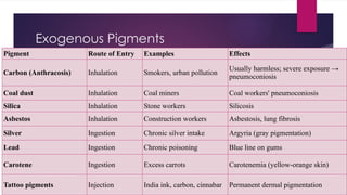 Exogenous Pigments
Pigment Route of Entry Examples Effects
Carbon (Anthracosis) Inhalation Smokers, urban pollution
Usually harmless; severe exposure →
pneumoconiosis
Coal dust Inhalation Coal miners Coal workers' pneumoconiosis
Silica Inhalation Stone workers Silicosis
Asbestos Inhalation Construction workers Asbestosis, lung fibrosis
Silver Ingestion Chronic silver intake Argyria (gray pigmentation)
Lead Ingestion Chronic poisoning Blue line on gums
Carotene Ingestion Excess carrots Carotenemia (yellow-orange skin)
Tattoo pigments Injection India ink, carbon, cinnabar Permanent dermal pigmentation
 
