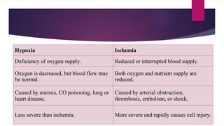 Hypoxia Ischemia
Deficiency of oxygen supply. Reduced or interrupted blood supply.
Oxygen is decreased, but blood flow may
be normal.
Both oxygen and nutrient supply are
reduced.
Caused by anemia, CO poisoning, lung or
heart disease.
Caused by arterial obstruction,
thrombosis, embolism, or shock.
Less severe than ischemia. More severe and rapidly causes cell injury.
 