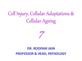 Cell Injury, Cellular Adaptations &
Cellular Ageing
7
DR. ROOPAM JAIN
PROFESSOR & HEAD, PATHOLOGY
 