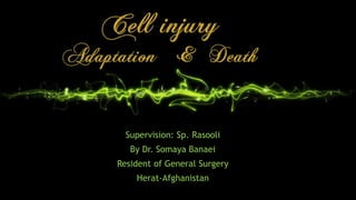 Supervision: Sp. Rasooli
By Dr. Somaya Banaei
Resident of General Surgery
Herat-Afghanistan
 