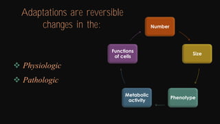 Cell injury death & adaptation