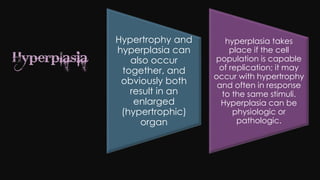 Cell injury death & adaptation