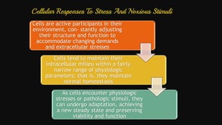 Cell injury death & adaptation