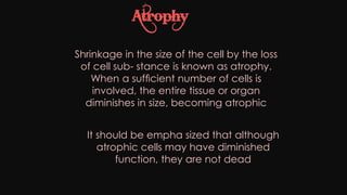 Cell injury death & adaptation