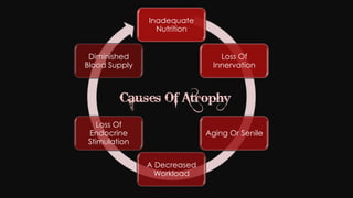 Cell injury death & adaptation
