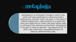 Cell injury death & adaptation