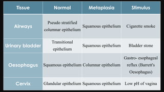 Cell injury death & adaptation
