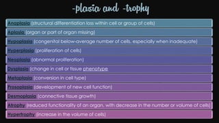 Cell injury death & adaptation
