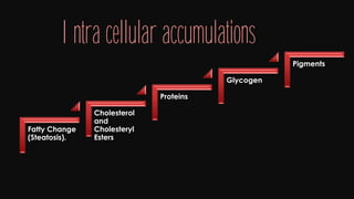 Cell injury death & adaptation