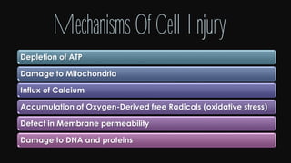 Cell injury death & adaptation