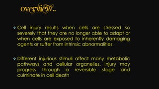 Cell injury death & adaptation