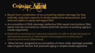 Cell injury death & adaptation