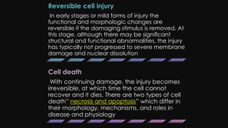 Cell injury death & adaptation
