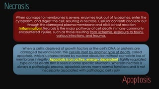 Cell injury death & adaptation