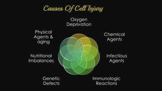 Cell injury death & adaptation