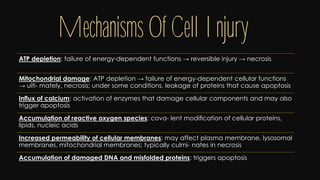 Cell injury death & adaptation
