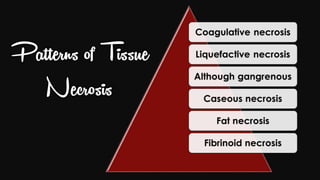 Cell injury death & adaptation