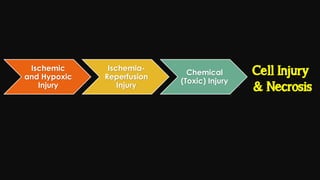 Cell injury death & adaptation