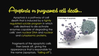 Cell injury death & adaptation