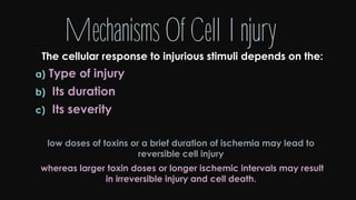 Cell injury death & adaptation