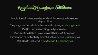Cell injury death & adaptation