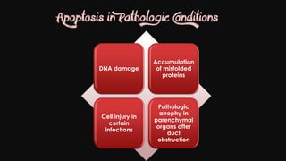 Cell injury death & adaptation