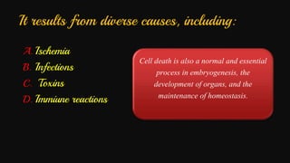 Cell injury death & adaptation