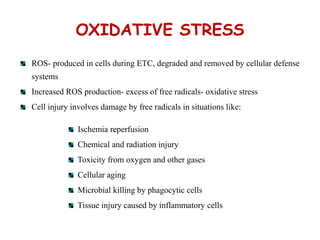 OXIDATIVE STRESS
ROS- produced in cells during ETC, degraded and removed by cellular defense
systems
Increased ROS production- excess of free radicals- oxidative stress
Cell injury involves damage by free radicals in situations like:
Ischemia reperfusion
Chemical and radiation injury
Toxicity from oxygen and other gases
Cellular aging
Microbial killing by phagocytic cells
Tissue injury caused by inflammatory cells
 