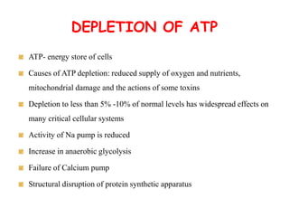 DEPLETION OF ATP
ATP- energy store of cells
Causes of ATP depletion: reduced supply of oxygen and nutrients,
mitochondrial damage and the actions of some toxins
Depletion to less than 5% -10% of normal levels has widespread effects on
many critical cellular systems
Activity of Na pump is reduced
Increase in anaerobic glycolysis
Failure of Calcium pump
Structural disruption of protein synthetic apparatus
 
