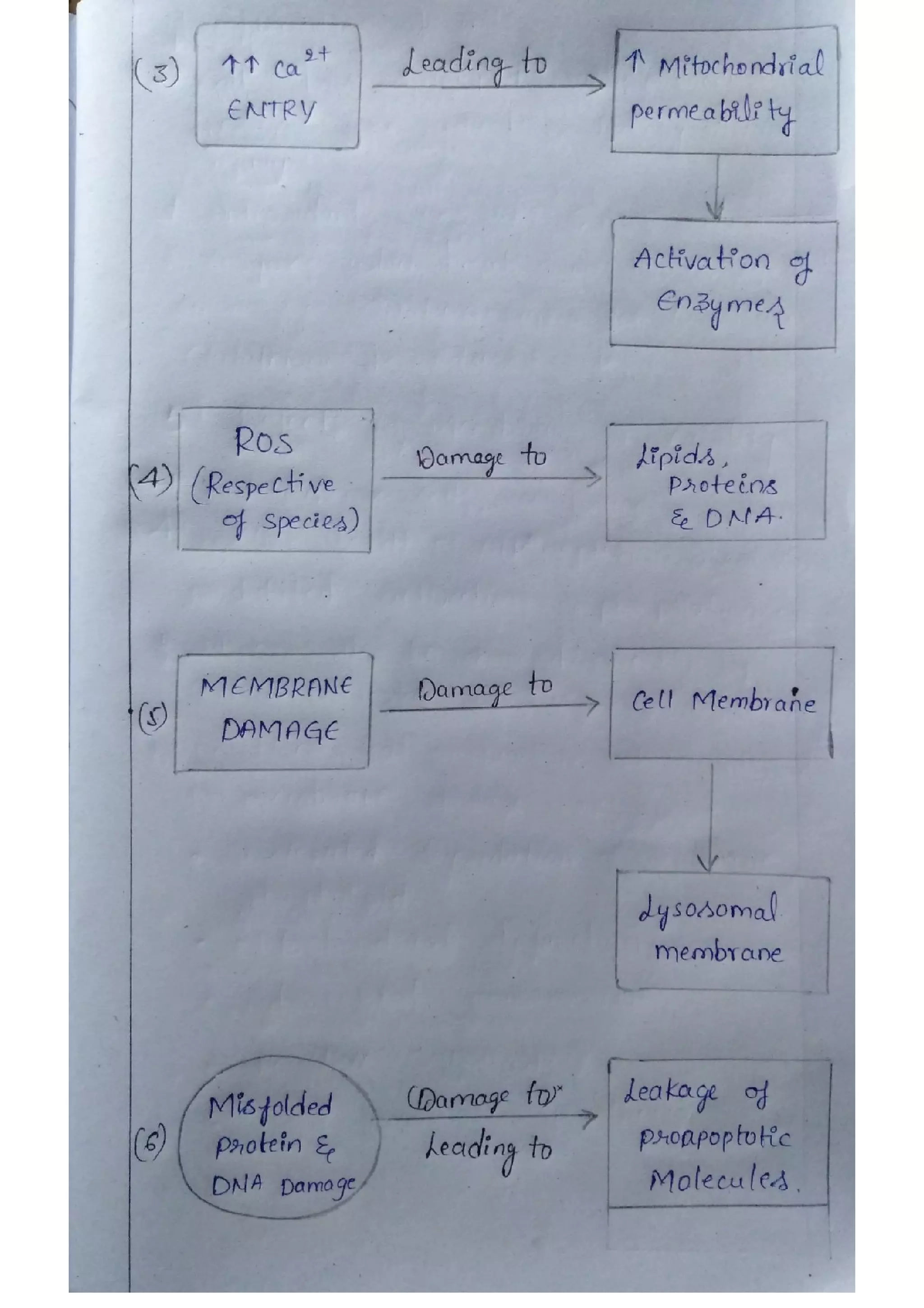 CELL INJURY - Types, Mechanism,Causes...pdf