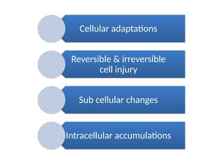 CELL INJURY and Adaptation with its types and examples | PPTX