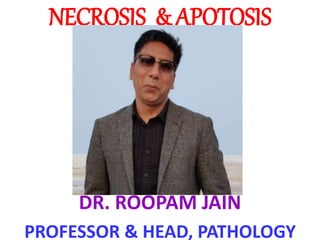 NECROSIS & APOTOSIS
DR. ROOPAM JAIN
PROFESSOR & HEAD, PATHOLOGY
 
