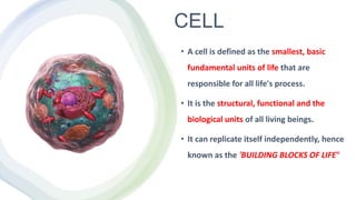 CELL
• A cell is defined as the smallest, basic
fundamental units of life that are
responsible for all life's process.
• I...