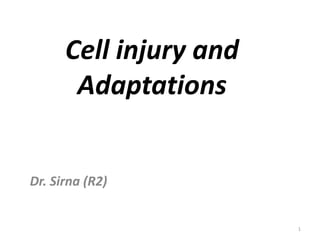 Cell injury and
Adaptations
Dr. Sirna (R2)
1
 