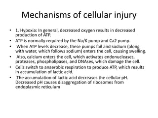 Cell Fail cell injury1.pptx