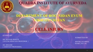 1
QUADRA INSTITUTE OF AYURVEDA
DEPARTMENT OF ROG NIDAN EVUM
VIKRATI VIGYAN
CELL INJURY
GUIDED BY
DR. MAYANK BISHNOI
[ H.O.D & ASSOCIATE PROFESSOR ]
DR. HIMADRI
[ ASSISTANT PROFESSOR ]
SUBMITTED BY
KRITIKAAGARWAL
BAMS [ 2021-26]
 