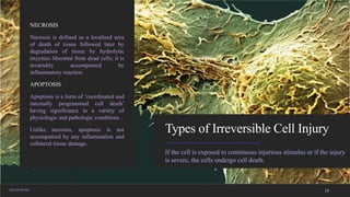 Pathology Cell Injury and cell adaptation | PDF