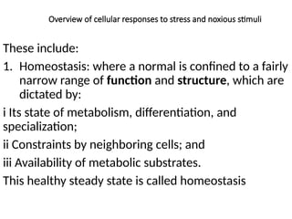 CELL INJURY MBBS YEAR 4 PATHOLOGY 1 .pptx
