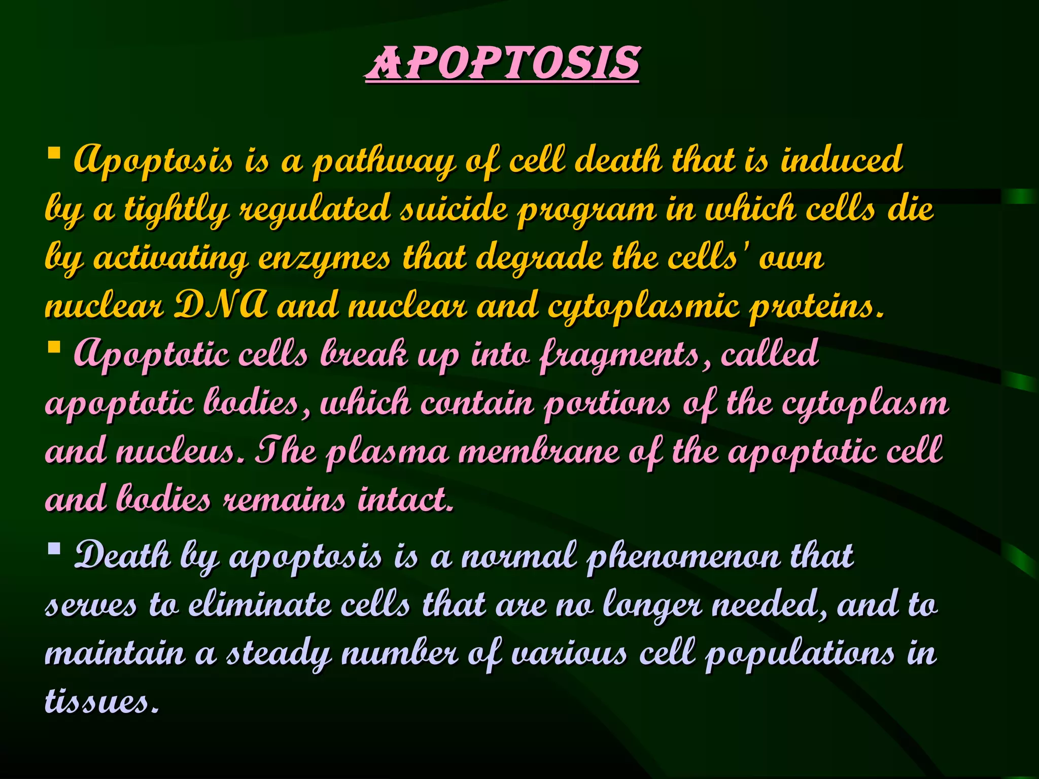 Apoptosis
 Apoptosis is a pathway of cell death that is induced
by a tightly regulated suicide program in which cells die
by activating enzymes that degrade the cells' own
nuclear DNA and nuclear and cytoplasmic proteins.
 Apoptotic cells break up into fragments, called
apoptotic bodies, which contain portions of the cytoplasm
and nucleus. The plasma membrane of the apoptotic cell
and bodies remains intact.
 Death by apoptosis is a normal phenomenon that
serves to eliminate cells that are no longer needed, and to
maintain a steady number of various cell populations in
tissues.
 