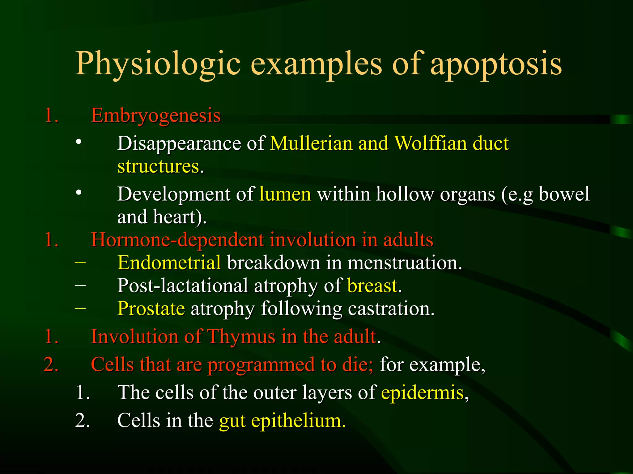 Physiologic examples of apoptosis
1.   Embryogenesis
   •    Disappearance of Mullerian and Wolffian duct
        structures.
   •    Development of lumen within hollow organs (e.g bowel
        and heart).
1.   Hormone-dependent involution in adults
   – Endometrial breakdown in menstruation.
   – Post-lactational atrophy of breast.
   – Prostate atrophy following castration.
1.   Involution of Thymus in the adult.
2.   Cells that are programmed to die; for example,
   1. The cells of the outer layers of epidermis,
   2. Cells in the gut epithelium.
 