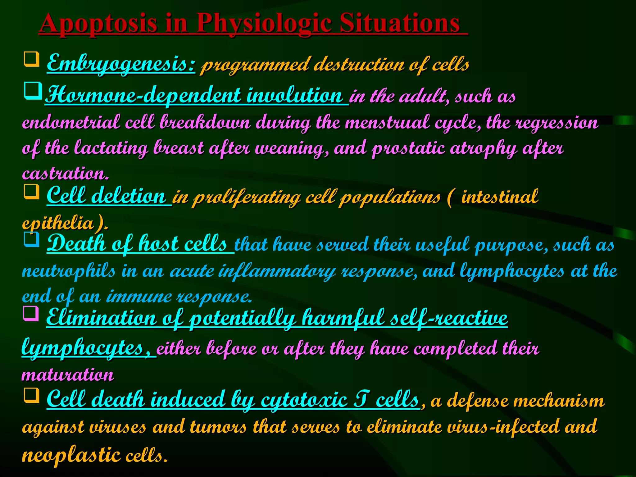 Apoptosis in Physiologic Situations
 Embryogenesis: programmed destruction of cells
Hormone-dependent involution in the adult, such as
endometrial cell breakdown during the menstrual cycle, the regression
of the lactating breast after weaning, and prostatic atrophy after
castration.
 Cell deletion in proliferating cell populations ( intestinal
epithelia).
 Death of host cells that have served their useful purpose, such as
neutrophils in an acute inflammatory response, and lymphocytes at the
end of an immune response.
 Elimination of potentially harmful self-reactive
lymphocytes, either before or after they have completed their
maturation
 Cell death induced by cytotoxic T cells, a defense mechanism
against viruses and tumors that serves to eliminate virus-infected and
neoplastic cells.
 