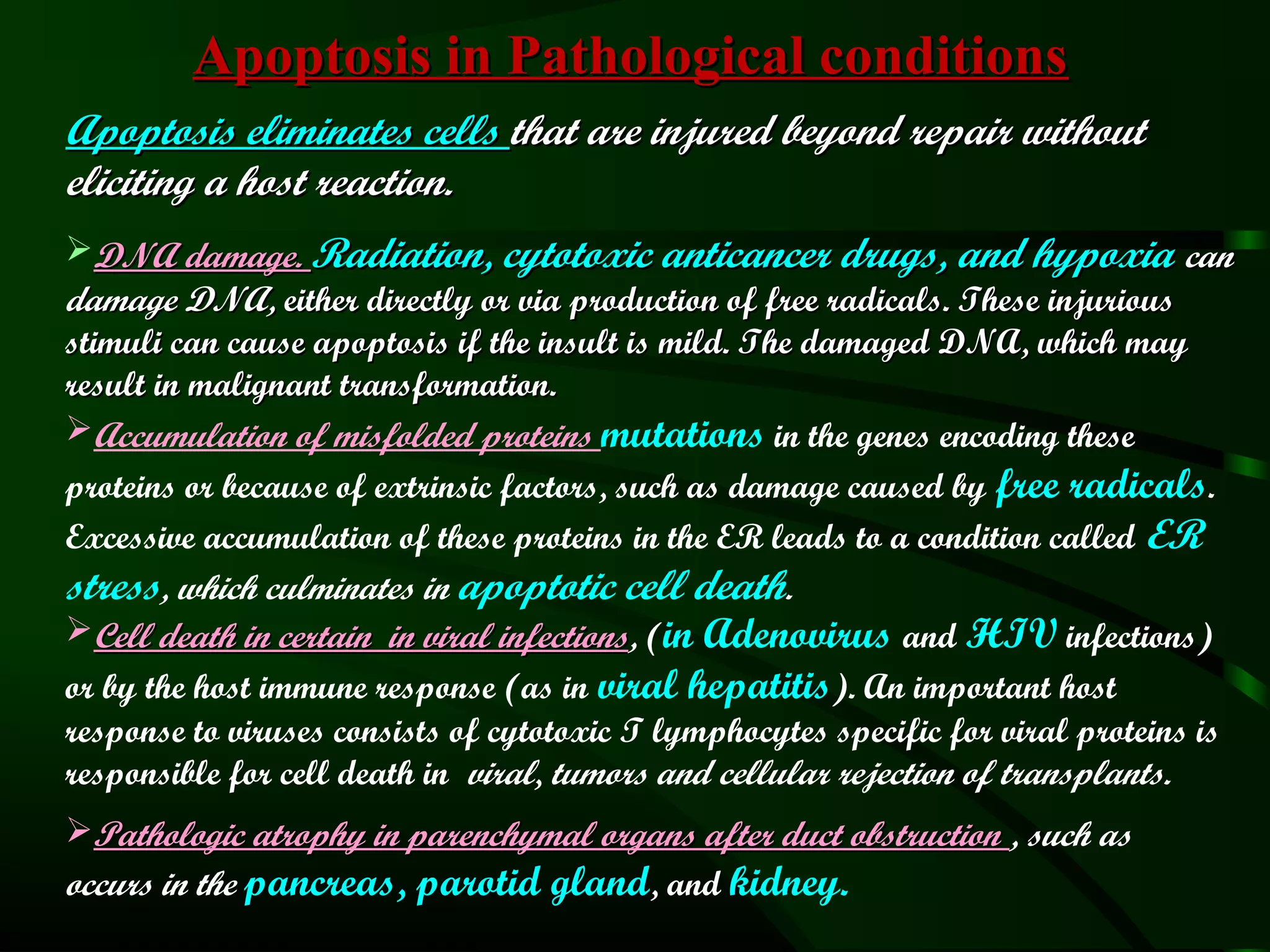 Apoptosis in Pathological conditions
Apoptosis eliminates cells that are injured beyond repair without
eliciting a host reaction.
DNA damage. Radiation, cytotoxic anticancer drugs, and hypoxia can
damage DNA, either directly or via production of free radicals. These injurious
stimuli can cause apoptosis if the insult is mild. The damaged DNA, which may
result in malignant transformation.
Accumulation of misfolded proteins mutations in the genes encoding these
proteins or because of extrinsic factors, such as damage caused by free radicals.
Excessive accumulation of these proteins in the ER leads to a condition called ER
stress, which culminates in apoptotic cell death.
Cell death in certain in viral infections, (in Adenovirus and HIV infections)
                                 infections
or by the host immune response (as in viral hepatitis). An important host
response to viruses consists of cytotoxic T lymphocytes specific for viral proteins is
responsible for cell death in viral, tumors and cellular rejection of transplants.
Pathologic atrophy in parenchymal organs after duct obstruction , such as
occurs in the pancreas, parotid gland, and kidney.
 