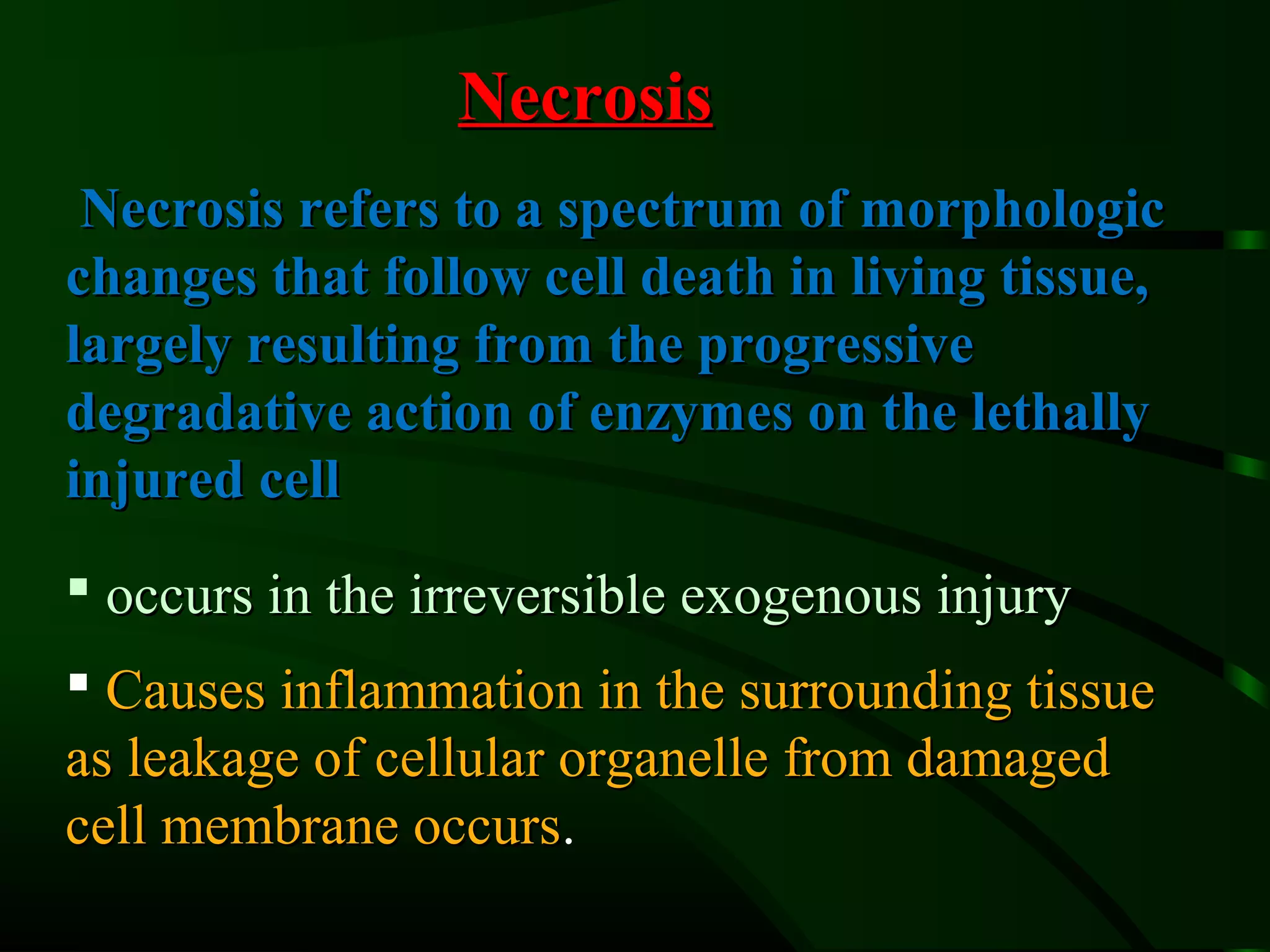 Necrosis
 Necrosis refers to a spectrum of morphologic
changes that follow cell death in living tissue,
largely resulting from the progressive
degradative action of enzymes on the lethally
injured cell
 occurs in the irreversible exogenous injury
 Causes inflammation in the surrounding tissue
as leakage of cellular organelle from damaged
cell membrane occurs.
                occurs
 