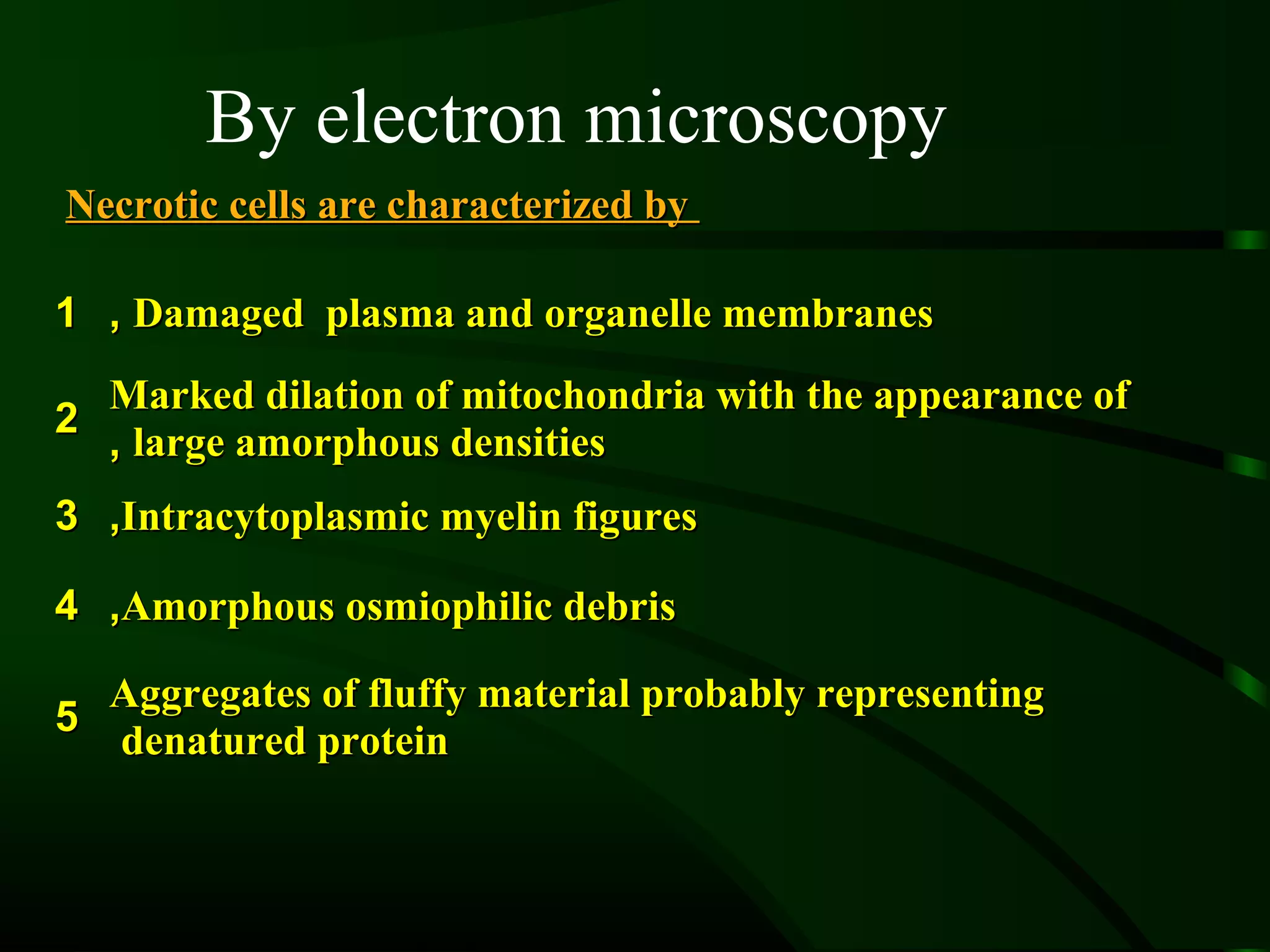 By electron microscopy
Necrotic cells are characterized by

1 , Damaged plasma and organelle membranes
  Marked dilation of mitochondria with the appearance of
2
  , large amorphous densities
3 ,Intracytoplasmic myelin figures

4 ,Amorphous osmiophilic debris

    Aggregates of fluffy material probably representing
5
    denatured protein
 