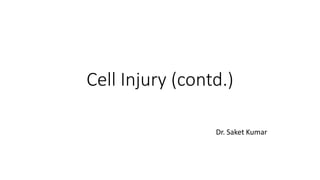 Cell Injury (contd.)
Dr. Saket Kumar
 