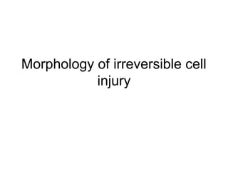 Morphology of irreversible cell
injury
 